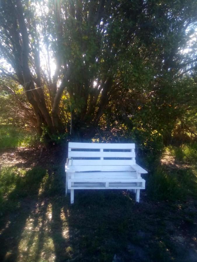 La Holandesa B & B Villa Meliquina Kültér fotó